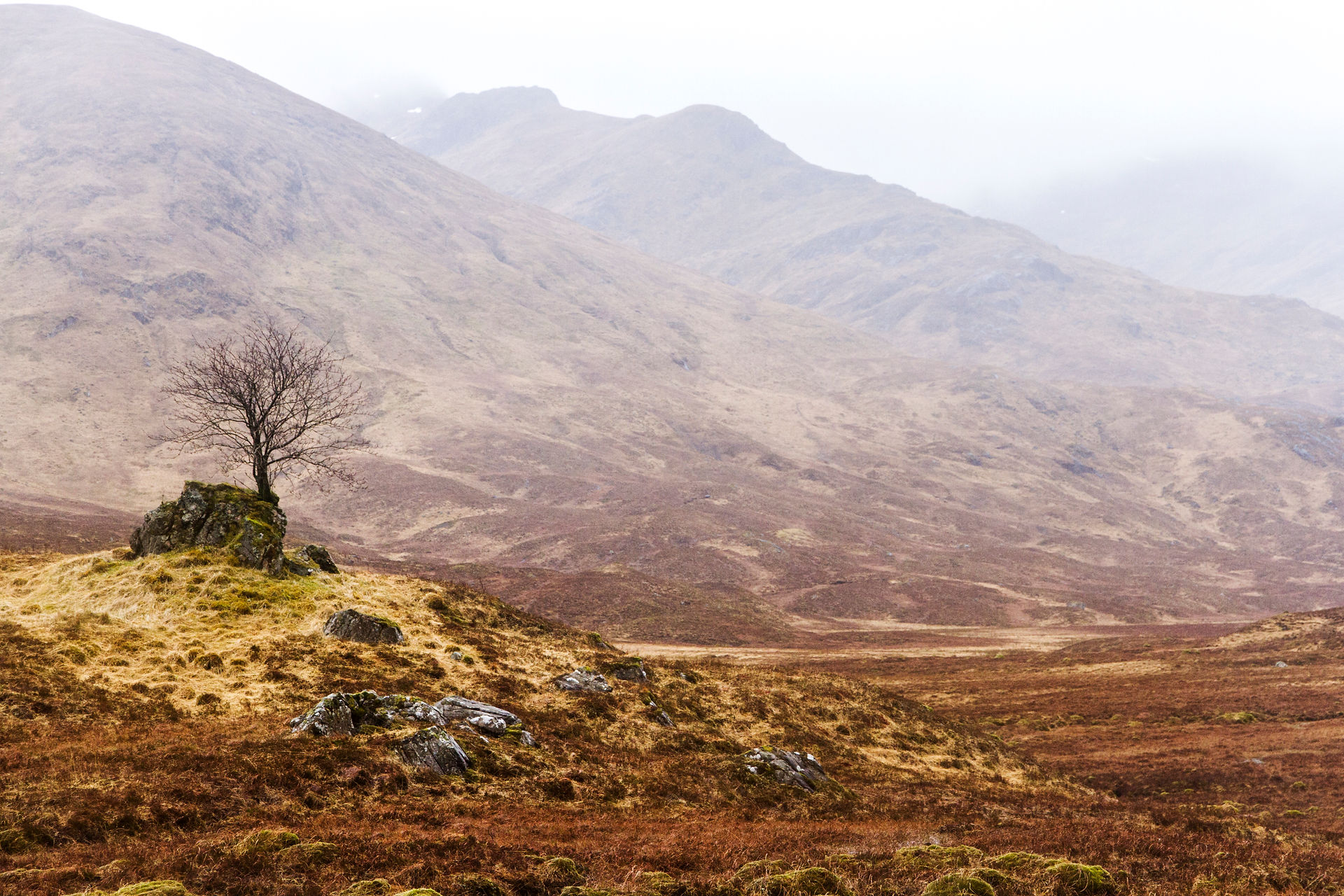 Glencoe