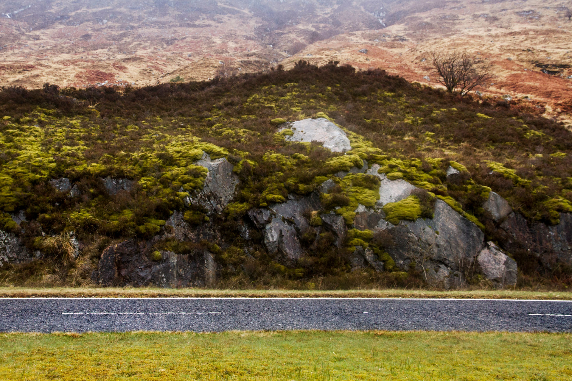 Glencoe