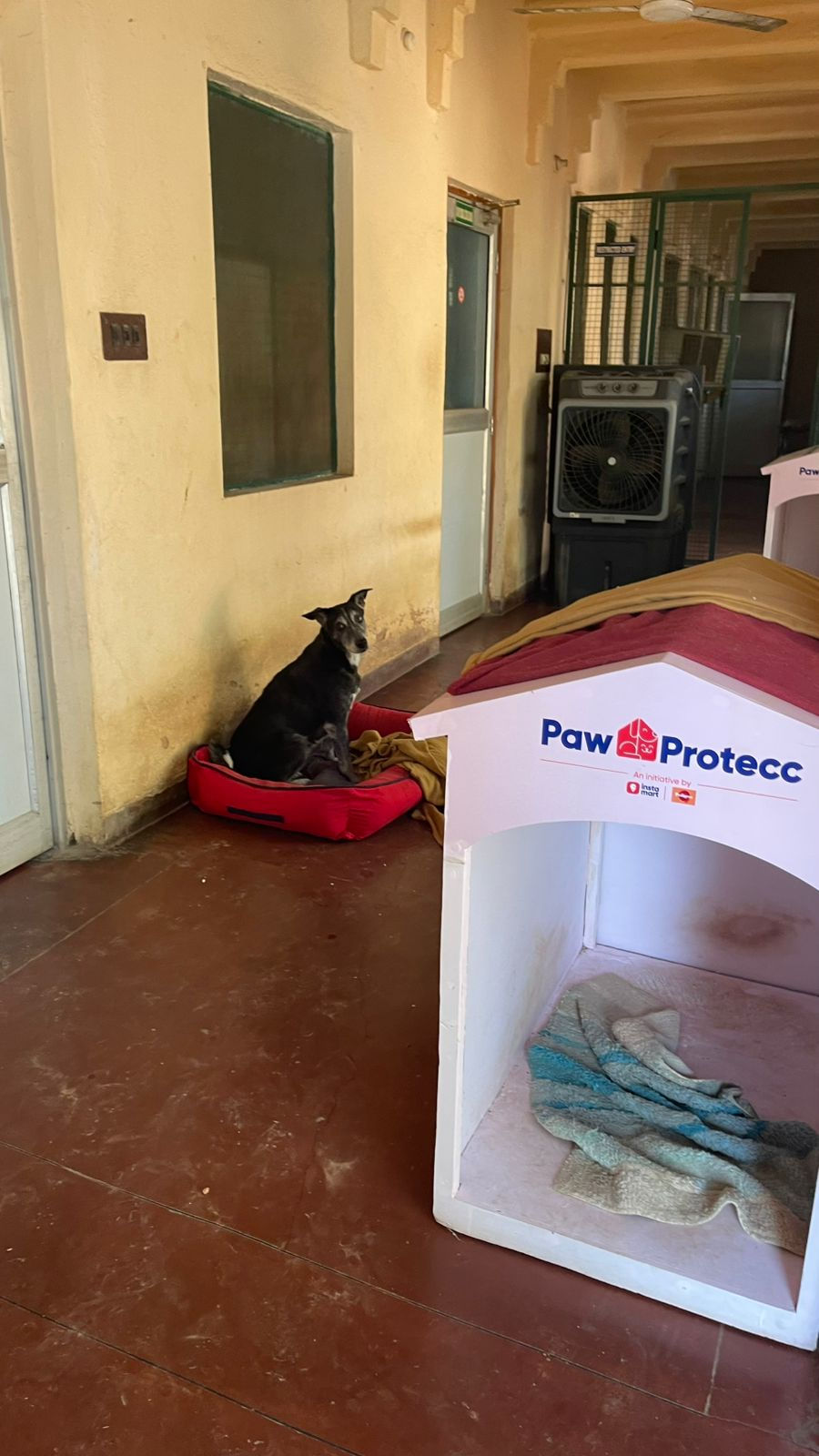 WhatsApp Image 2026-03-03 at 1.22.15 PM.jpeg