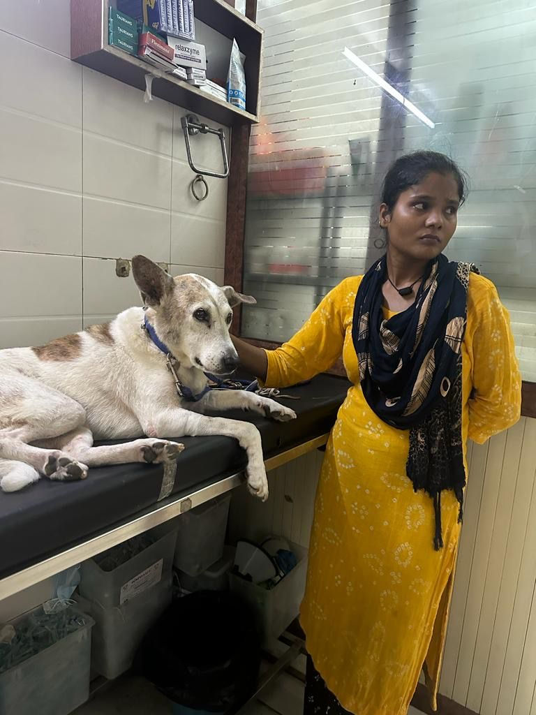 WhatsApp Image 2026-03-03 at 2.05.47 PMyjy.jpeg