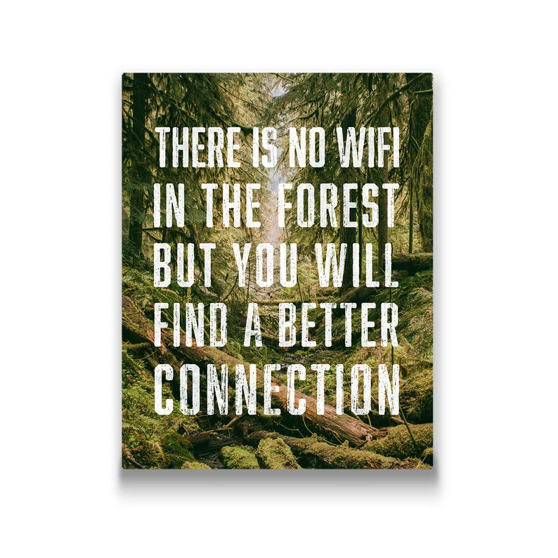 No WIFI.webp