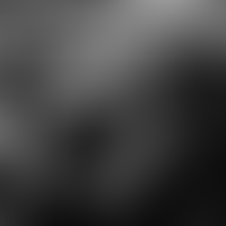 Fafá de Belém, o Musical, estreia dia 15 de janeiro no Teatro Riachuelo Rio