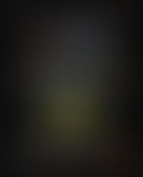 Primeiro Festival Internacional Ambrosias