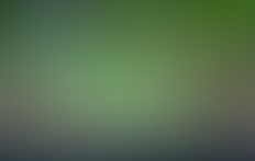 A chuva molha a Semente Crescente