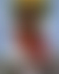 Ayrton Senna: Um Legado de Velocidade, Paixão e Eterna Saudade