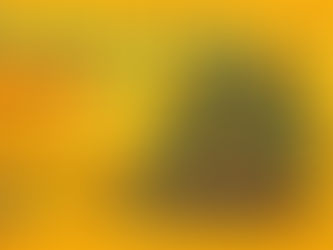 Literatura, diversão e história: Cláudia Felício lança “Cadê o gato? — Egito