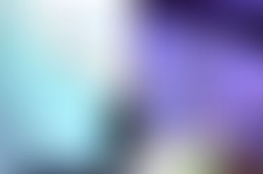 Promoção dos queijos da região Centro de Portugal com nova estratégia