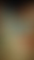 Dupla do Rio: 35 anos elevando o Carnaval Carioca