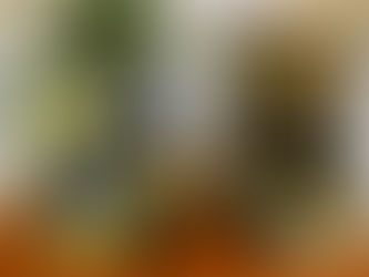 Ana Paula Gonçalves lança "O Brasil mostra a sua cara: Vale Tudo, a telenovela que escancarou a elite e a corrupção brasileira", em São Paulo