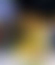 Entrevista: Squel Jorgea (Porta-bandeira)