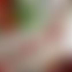 A mesa que o Brasil herdou: cinco pratos do cotidiano com origem portuguesa