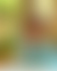 Entrevista: Antônio Neves da Rocha