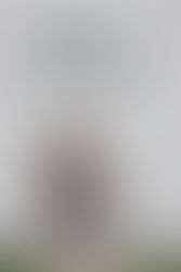 Importadores do Brasil confirmam presença na “Agribusiness 2025” em Santarém