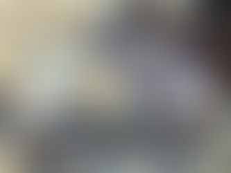 Abertura da Exposição TUDOQUE AINDA MORA EM NÓS de WALTER NOMURA - TINHO