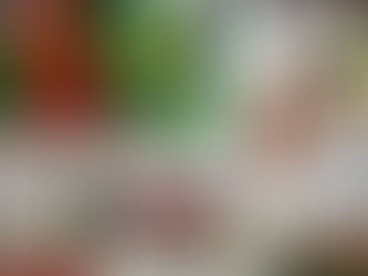 “Sou grato ao Brasil pelas oportunidades que aqui encontrei”, disse Domingos Cunha