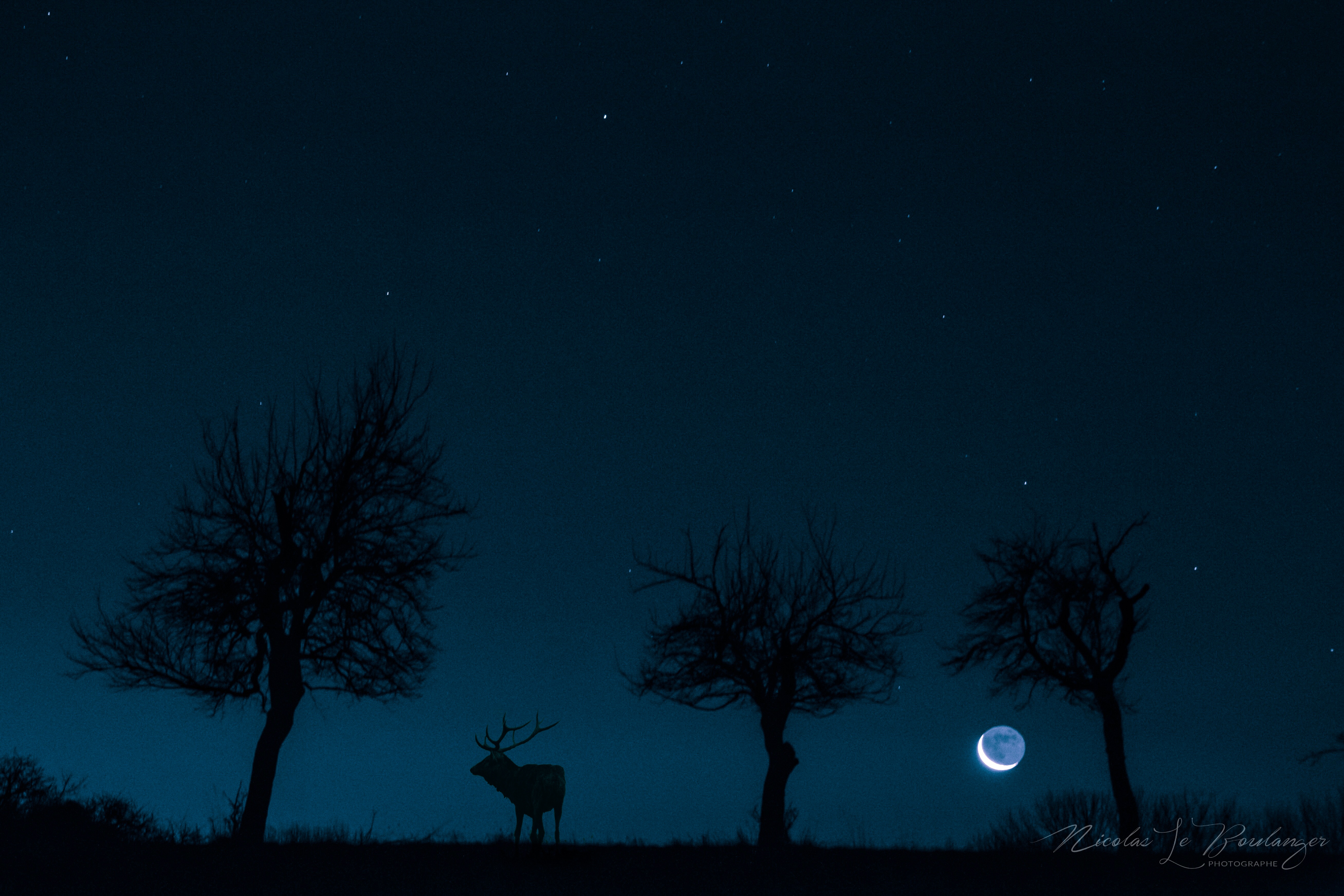 Photographe Pro Dabo Nicolas Le Boulanger