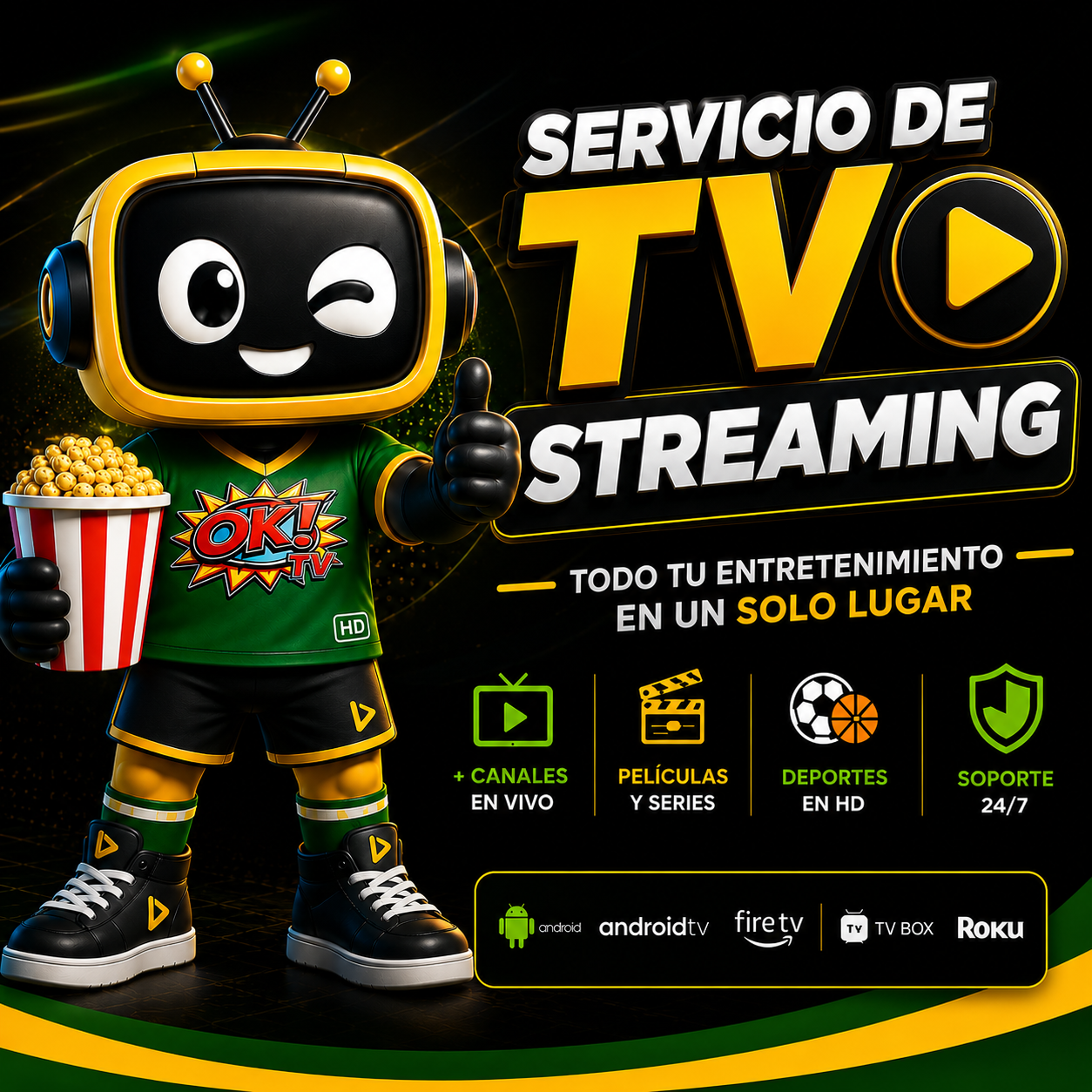 OKTV 6 meses de servicio