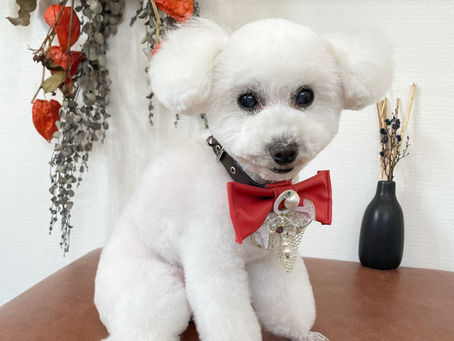 ココナッツちゃん🥥♡