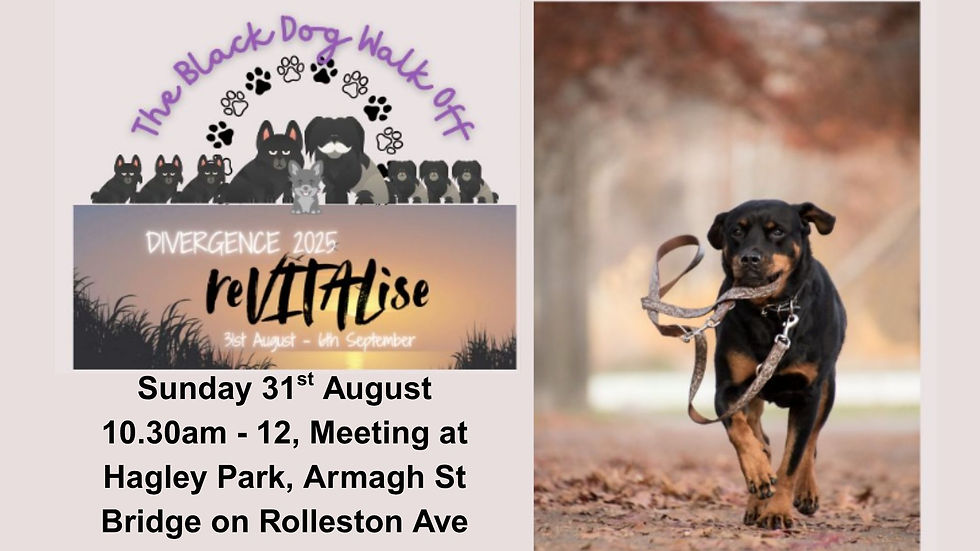 Black Dog Walk off - Meet at Hagley park, Armagh St Bridge on Rolleston Ave