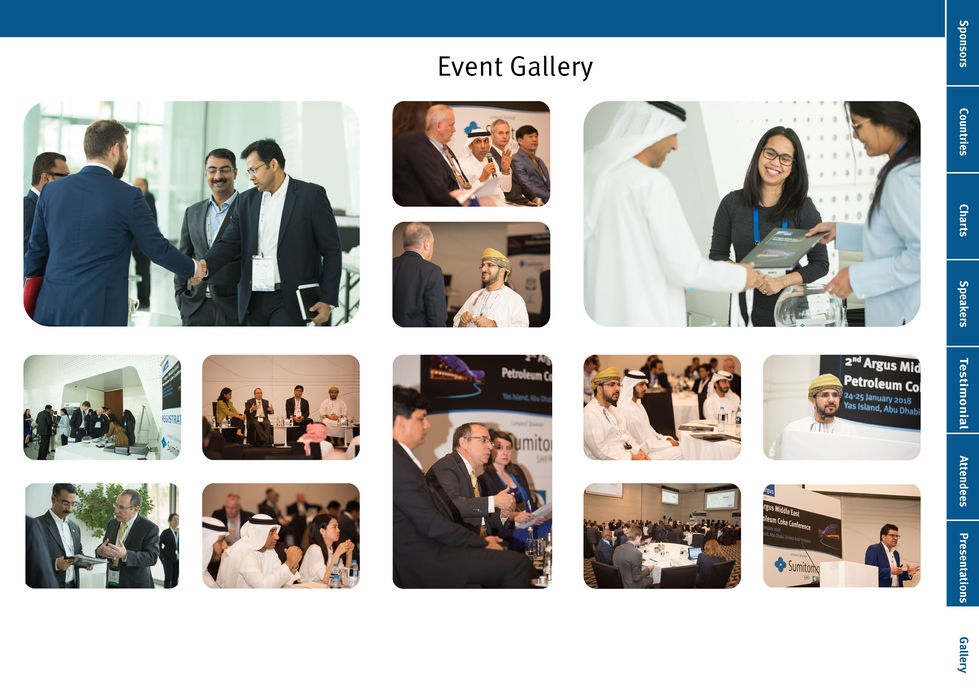 Argus petcoke 2018_Page_10.jpg