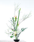 21032019-ikebana_free.jpeg