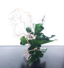 18042018-ikebana_anthurium.jpeg