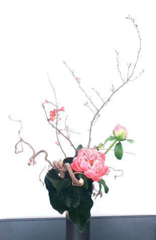 18042018-ikebana_pivoine.jpeg