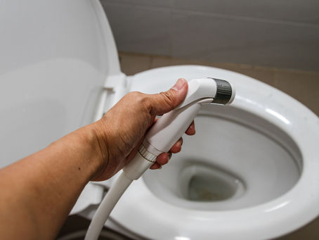 Bidet Toilets - A Guide To Buying The Right Attachment For Your Toilet