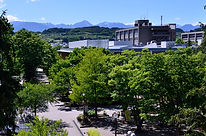 Shinshu University