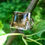 Thumbnail: Genuine Brazilian Smoky Quartz stone set on silver
