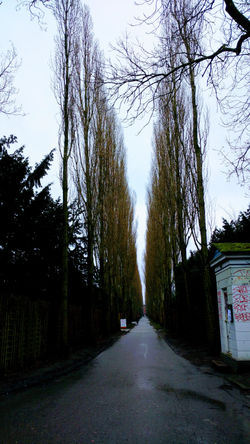 Kirkegård (churchyard/cemetery; I)
