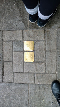 "Stumbling Stones"