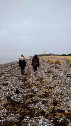 Sejerø (IV)