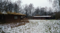 Girl Scout camp (I)