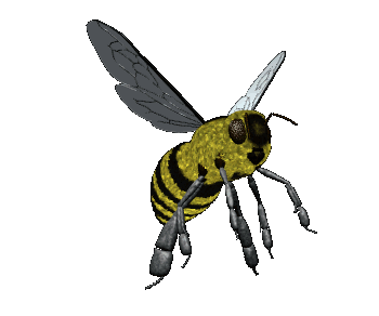 bee2giphy.gif