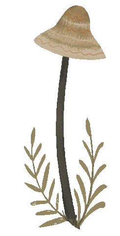 mushroom9giphy.gif