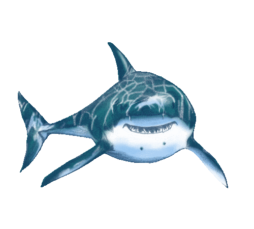 fish28giphy (3).gif