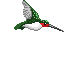 mushroom2giphy.gif