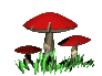 mushroom1giphy.gif