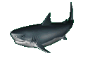 fish24giphy (3).gif