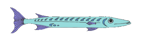 fish8giphy (3).gif