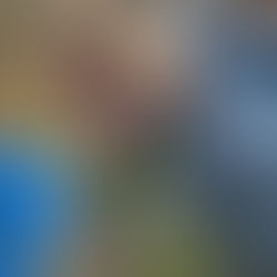 Using tools at forest school