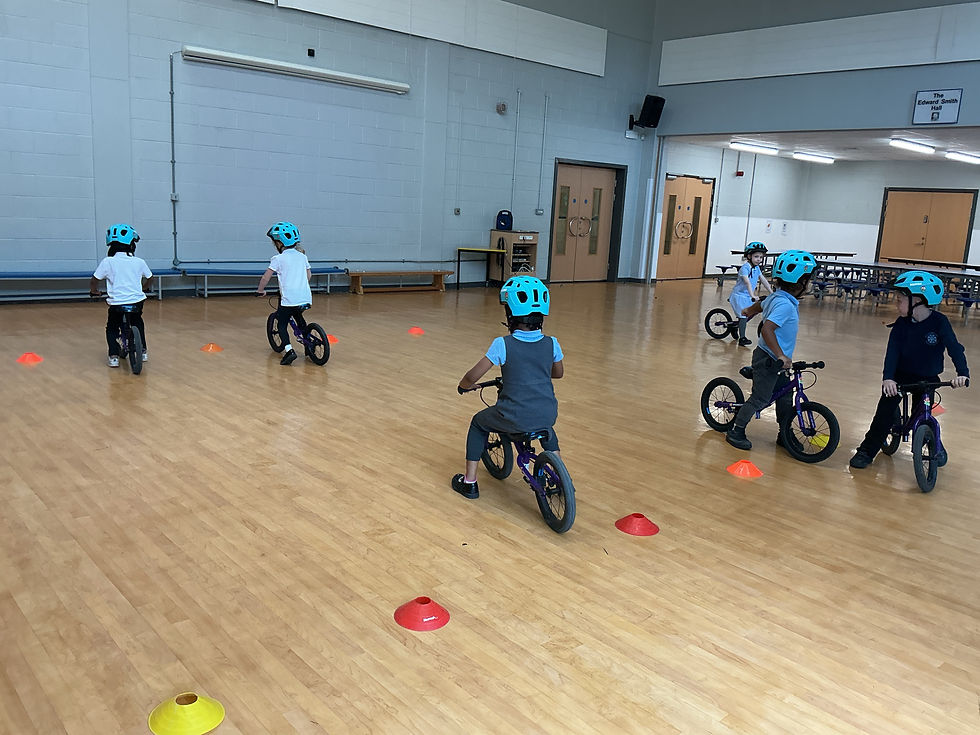 Bike ability