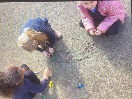 British Science Week