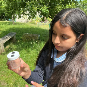 Year 4 Forest School