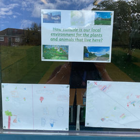 Living things in our local environment; let’s keep them safe and growing!