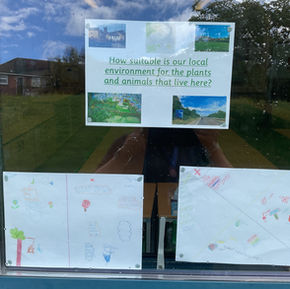 Living things in our local environment; let’s keep them safe and growing!