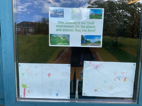 Living things in our local environment; let’s keep them safe and growing!