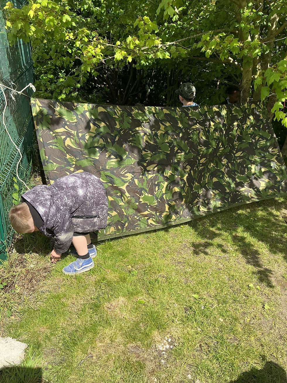 Den building and observing nature
