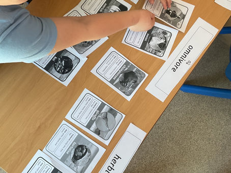 Categorising animals by what they eat
